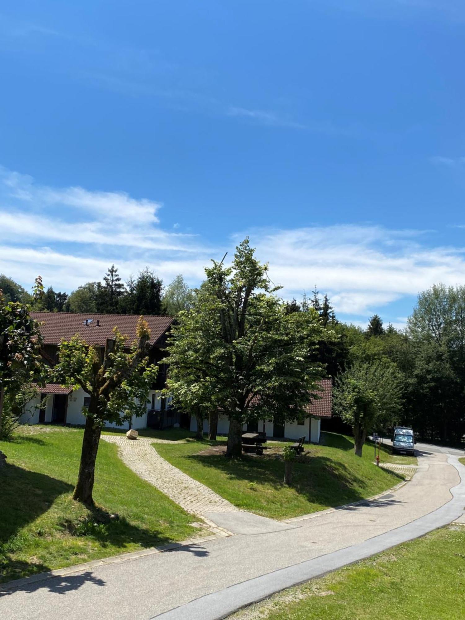 Zauberwald Waldkirchen